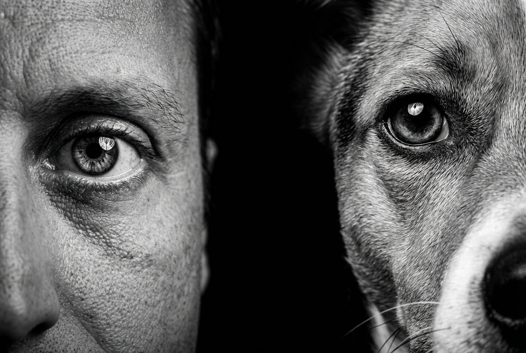 Ojos
